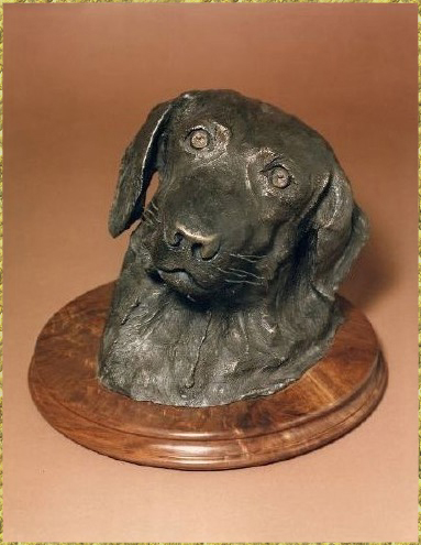 Labrador Bust